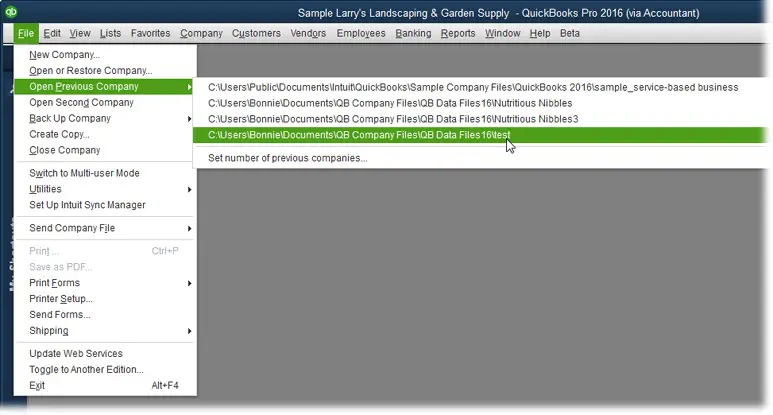 Open-up-company-file-properly-Screenshot