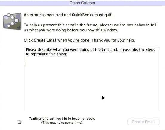 QuickBooks Crash Catcher Error - Screenshot Image