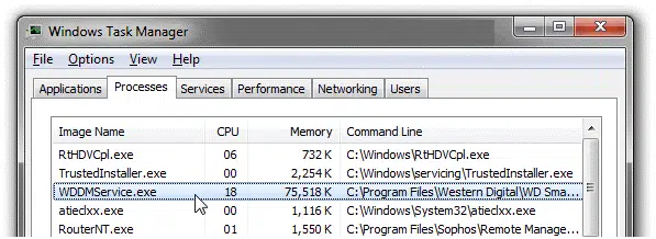 WDDMservice.exe file - Image