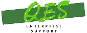 QuickBusiness Ent Support